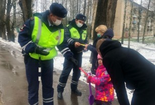 В ходе операции «Пешеход» в Смоленской области выявлено 811 нарушений