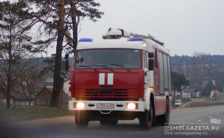 В Смоленске подгоревший обед спровоцировал экстренный выезд спасателей