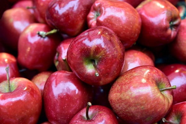 В Смоленской области уничтожили более 13 тонн яблок неизвестного происхождения