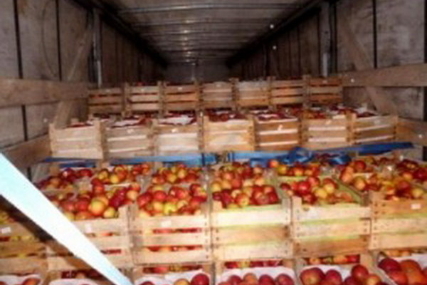 В Смоленской области уничтожили более 19 тонн яблок неизвестного качества