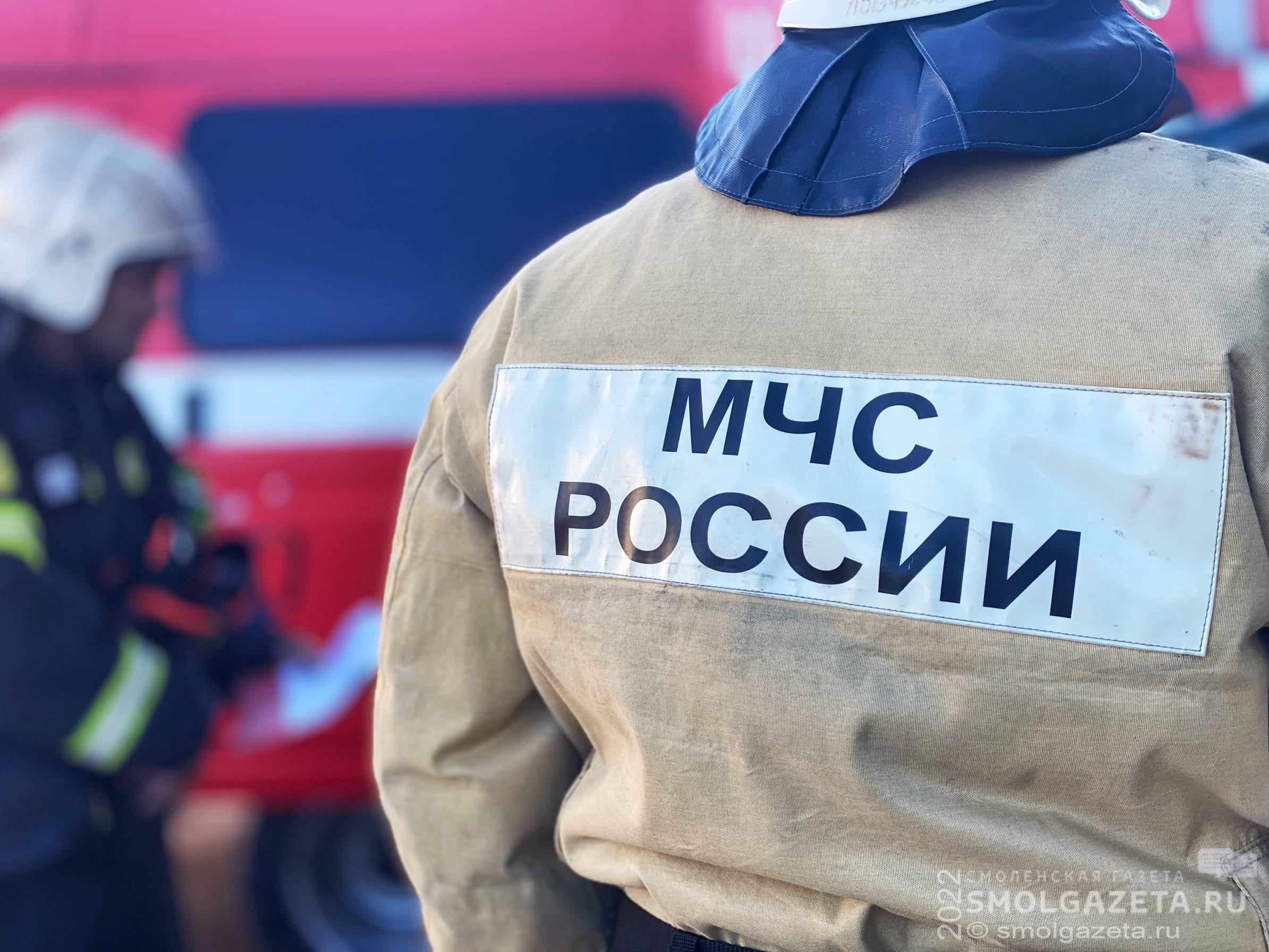 В Смоленской области за 11 месяцев зарегистрировали более 3100 пожаров