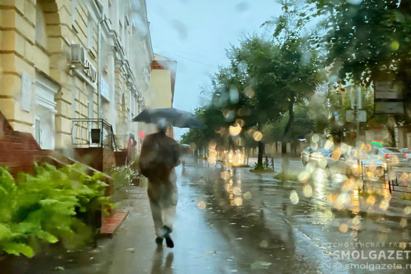В Смоленске в пятницу пройдут кратковременные дожди