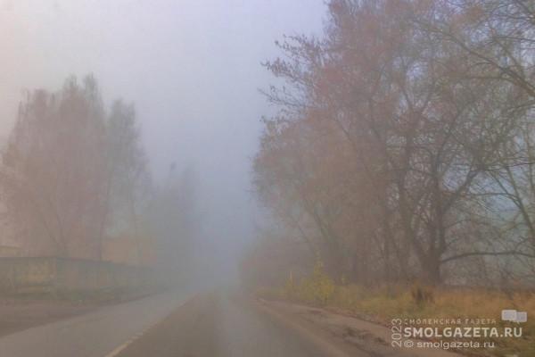 25 октября в Смоленской области ожидаются морось и мокрый снег