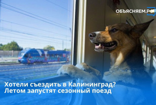 Летом через Смоленск будет ездить поезд до Калининграда