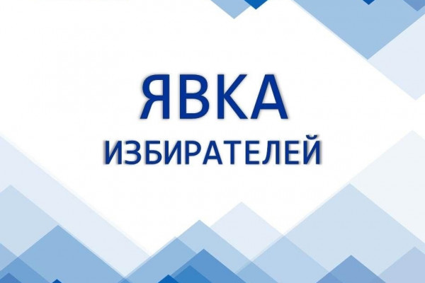 В Смоленской области явка на выборах президента по итогам второго дня достигла 54,69%