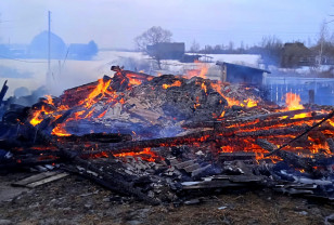 6 овец спаслись из пожара в деревне Блиново Новодугинского района