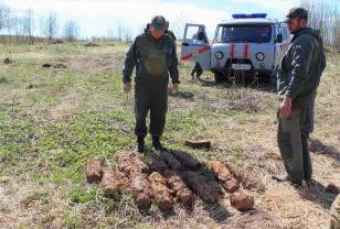 В Смоленской области обнаружены массовые залежи взрывоопасных предметов