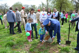 Починковцы присоединились к международной акции «Сад Памяти»